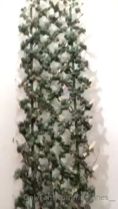 Not even done yet this plant is taking a stupid amount of work but part 3 