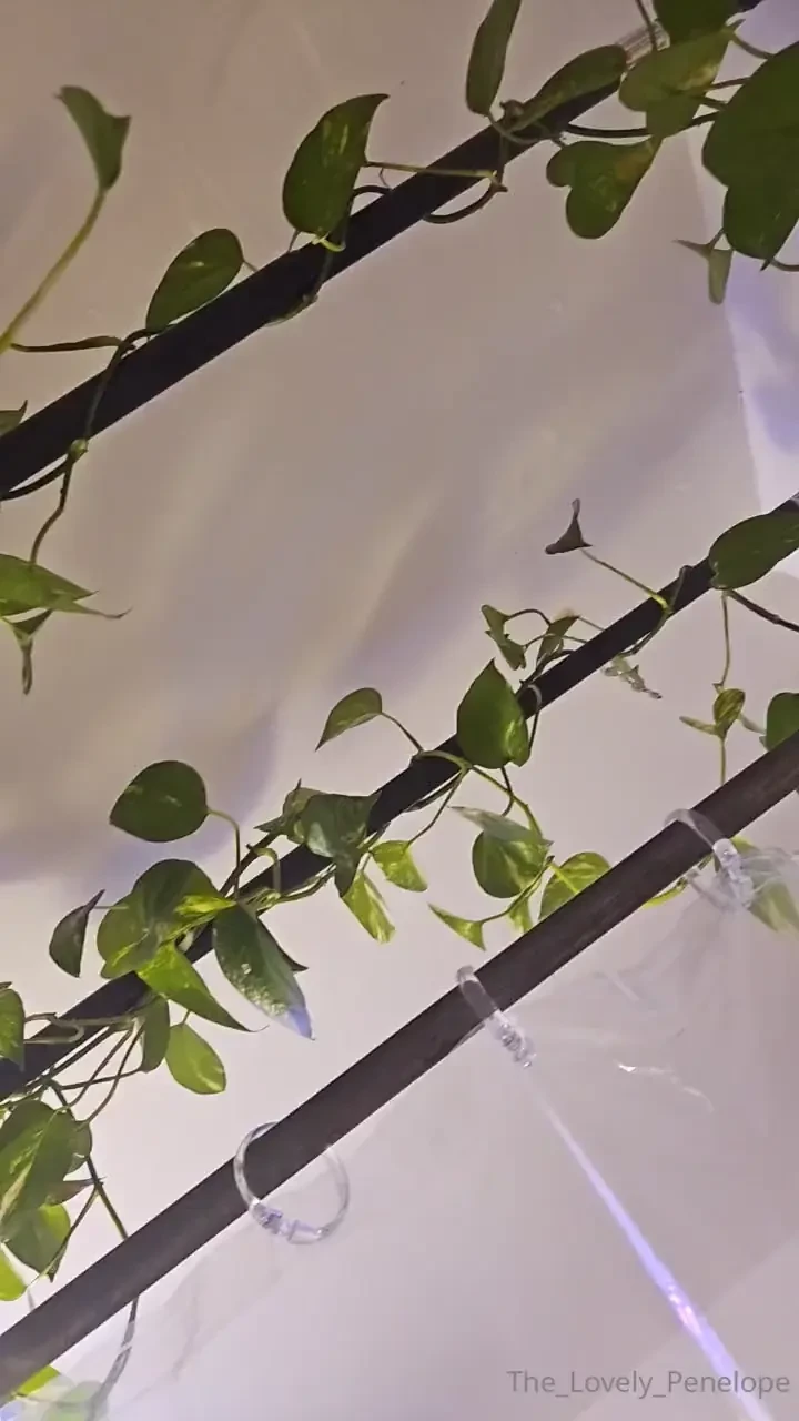 One of the most zen places to be in my apt 