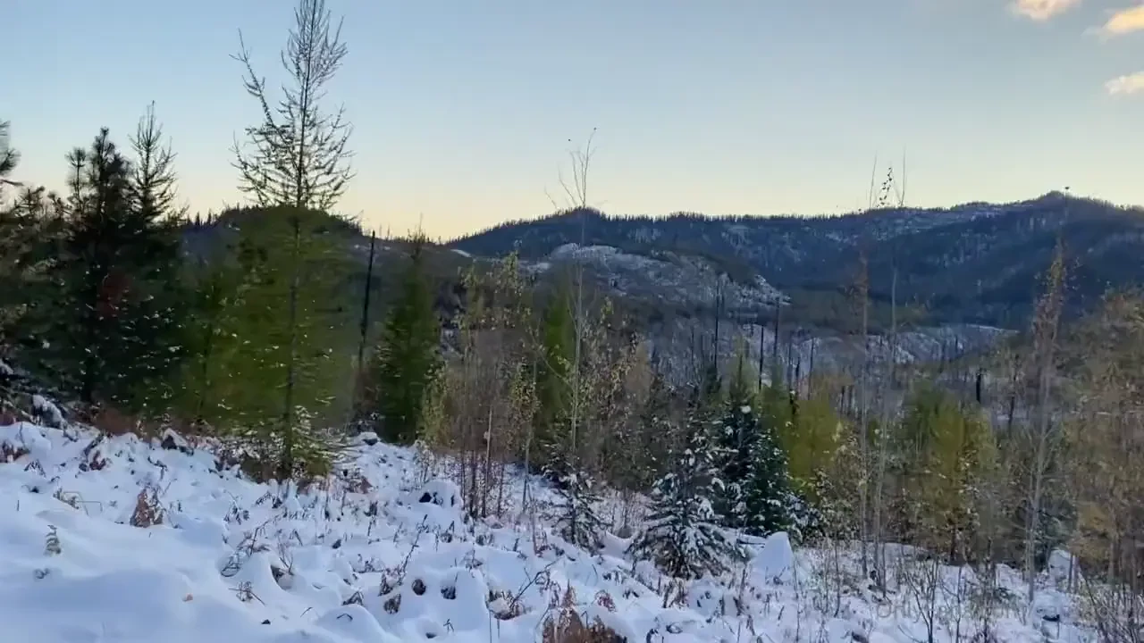 Hunting in montana is so beautiful dbanders 