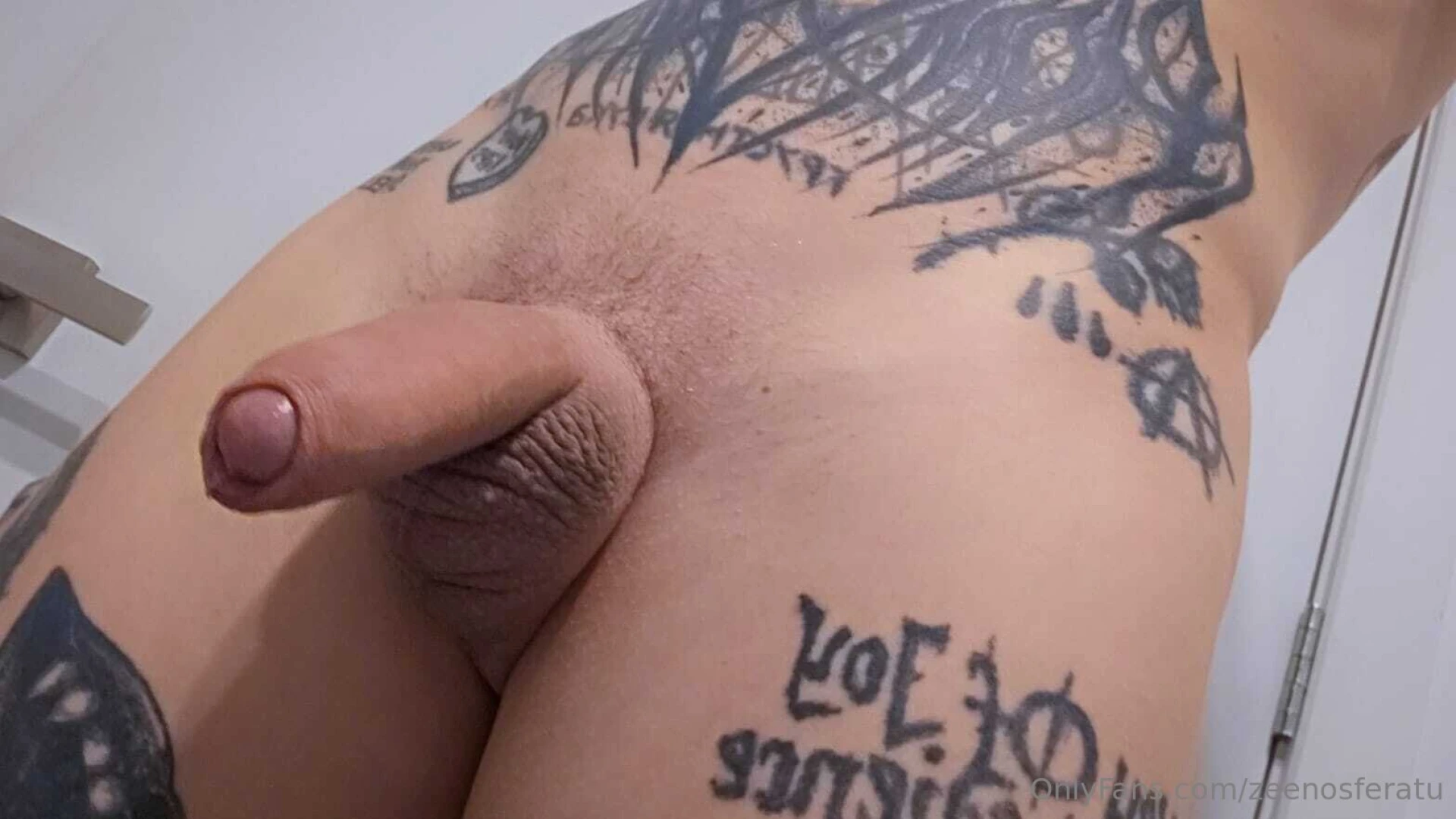 Zeenosferatu part 11 