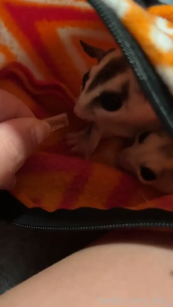 Since y all are helping fund them you can watch them be extra cute 