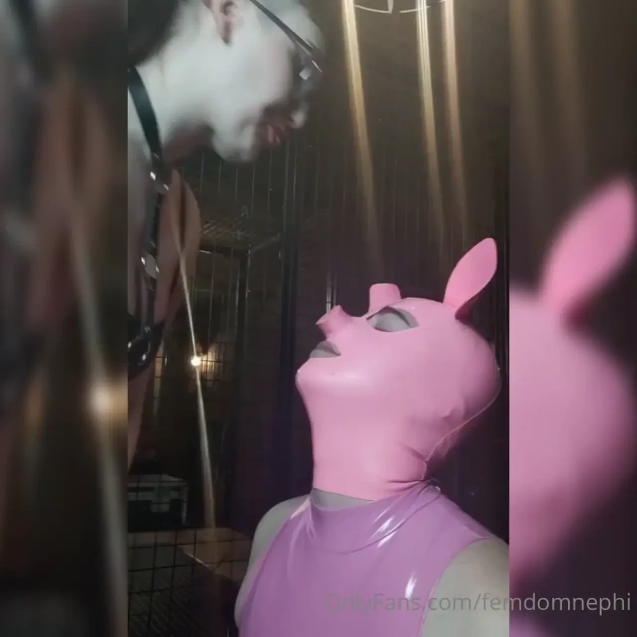 Piggy loves to clean up my spit also they way that they re looking up 