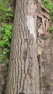 Flashing on the trail fyp nsfw public flashing outdoor boobs flash part 1
