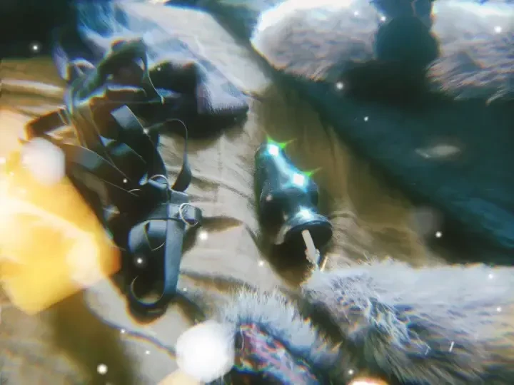 Wait til you hear me purr 