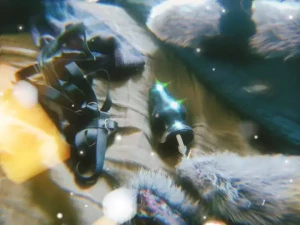 Wait til you hear me purr