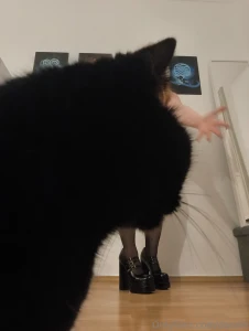 Day 15 a big set and an inner conflict you see i ordered these shoes part 9