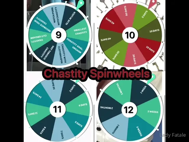 Spinwheels are fun i ll give you a task and by spinning the wheel you part 1 
