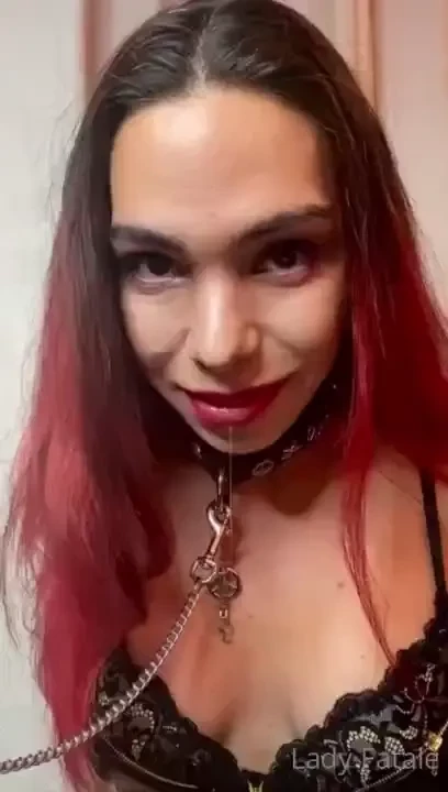 I told her that my bull is ready to see her on her knees so he will 