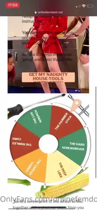 Taskoftheweek - spin the wheel the naughty housetools let me play with 