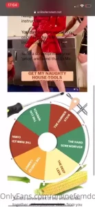 Taskoftheweek - spin the wheel the naughty housetools let me play with