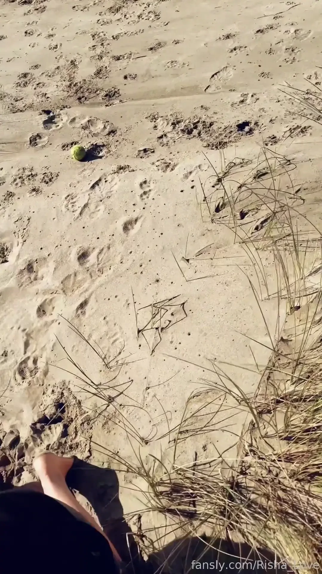 The wind wasn t the only thing blowing at the coast today fyp slut 