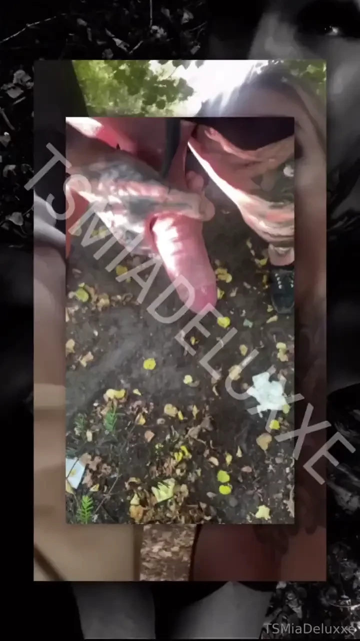 Coming soon part 363 