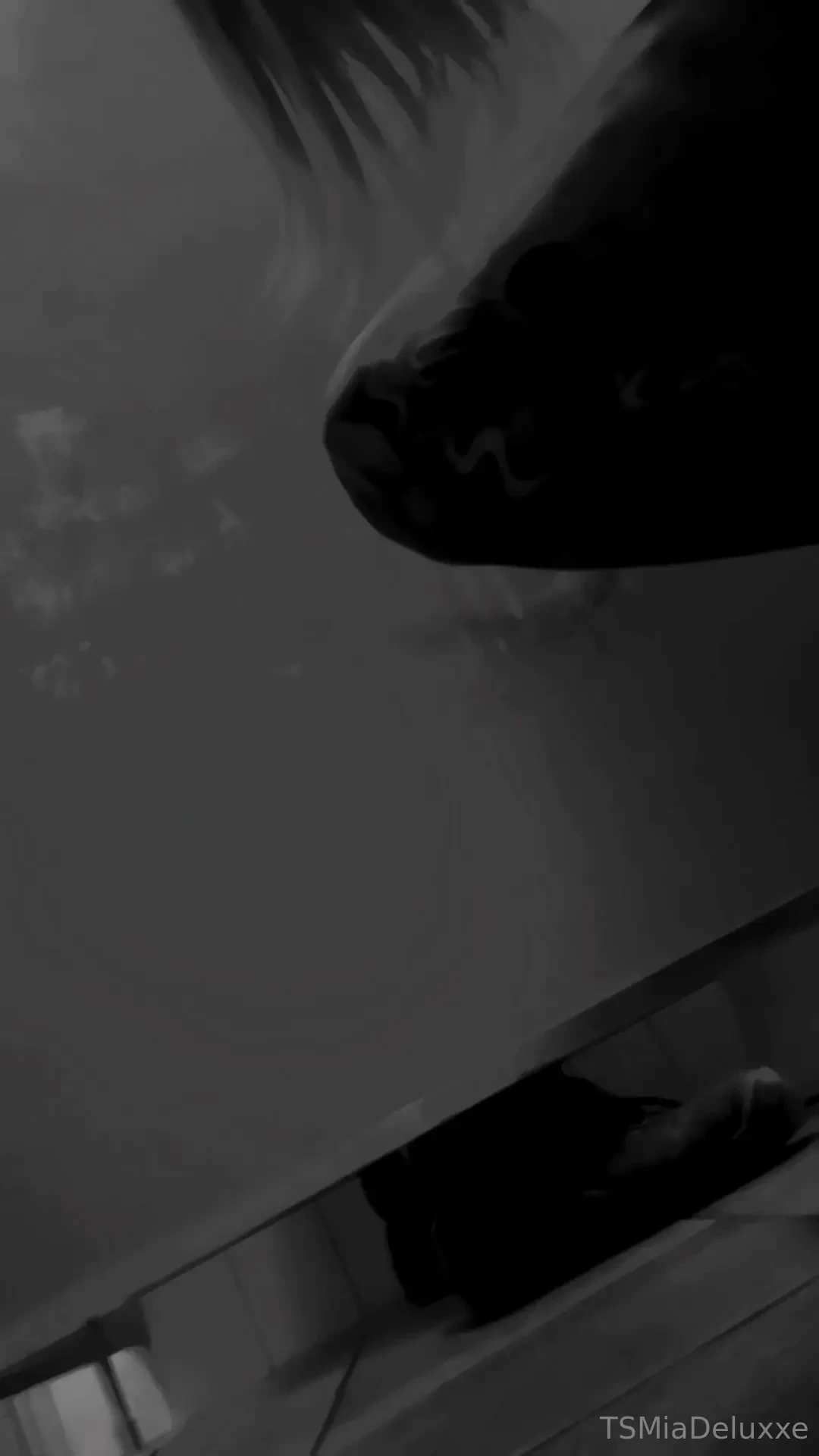 Ihr wolltet es ihr bekommt es habs nicht mehr ausgehalten check deine 