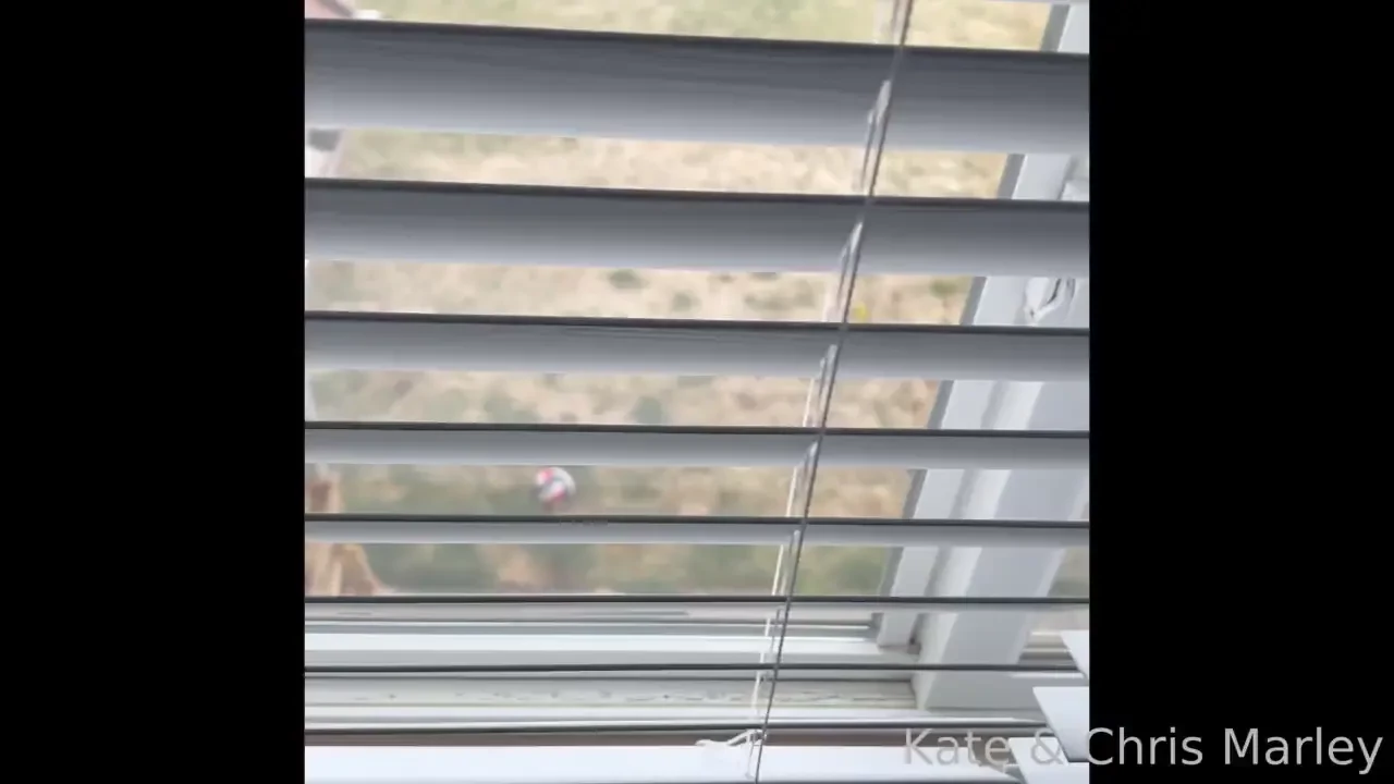 1 1 22 - i love waking kate with a little tongue action under the 