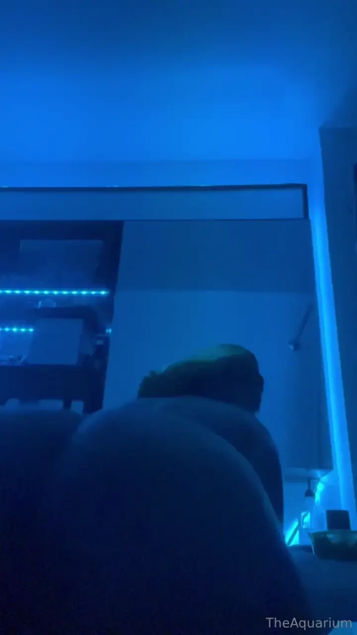 Would you shoot the club up if you re new here make sure you say hello 