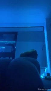 Would you shoot the club up if you re new here make sure you say hello