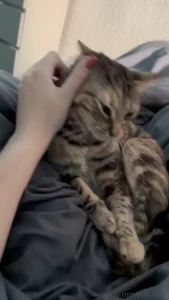 This week i tried going commando for the first time it was fun swipe part 1