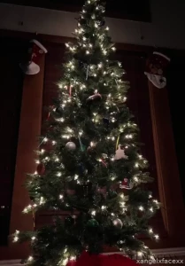 Being long distance is so hard i wish i could spend the holiday with