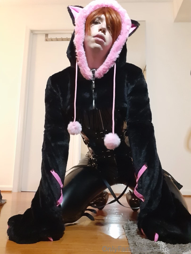 Meow i got a new costume i saw this and just had to get it 