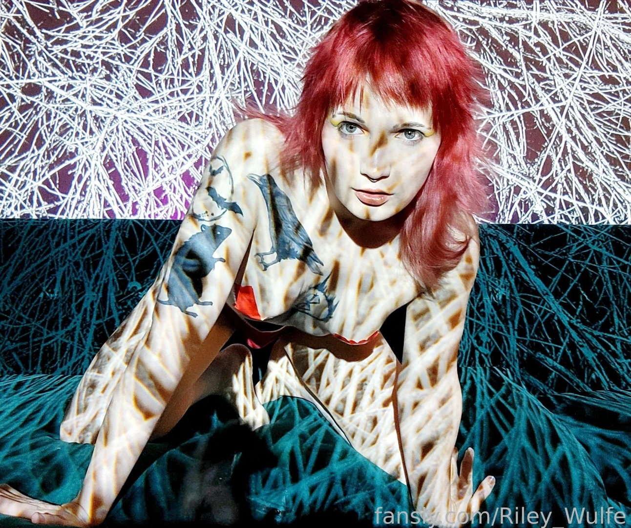 Do you think you would look good plowing me in these lights trans 