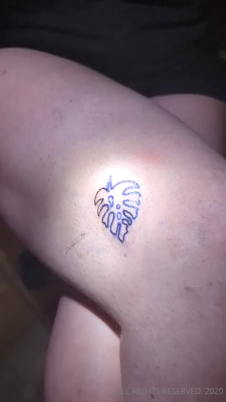 Novice tattoo artist today was a special day i tattooed a bunny on my 