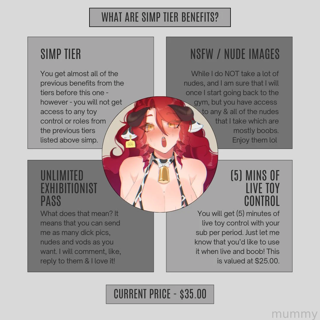 Want a better explanation of the subscription tiers and what each of 