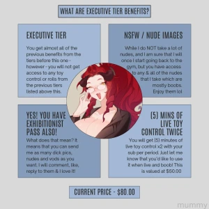 Want a better explanation of the subscription tiers and what each of part 1