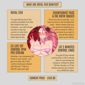 Want a better explanation of the subscription tiers and what each of part 2