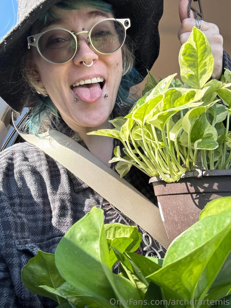 New pothos for my studio 