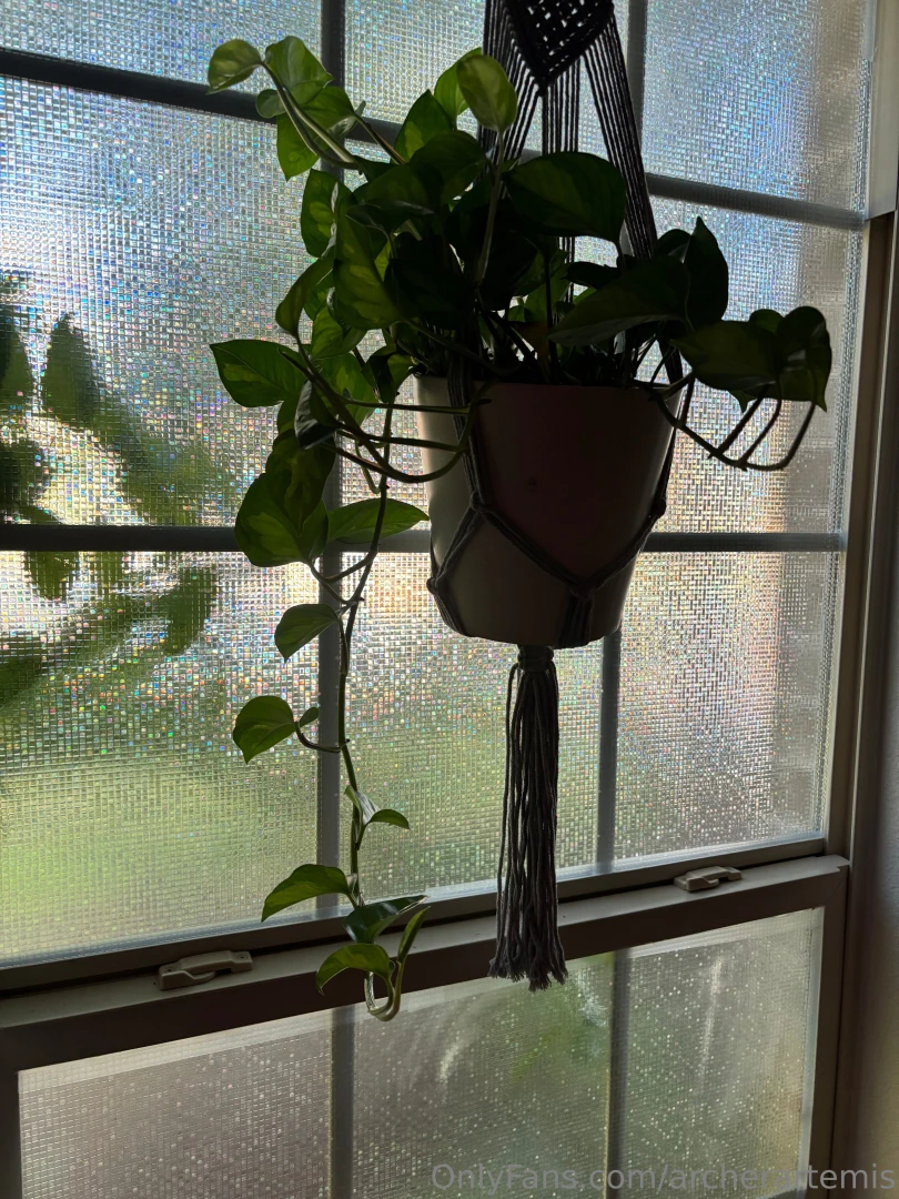 My depression has been kicking my ass and i haven t taken any photos part 3 