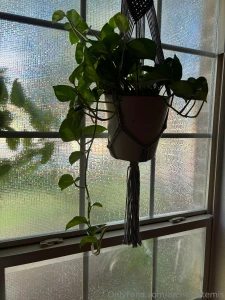 My depression has been kicking my ass and i haven t taken any photos part 3