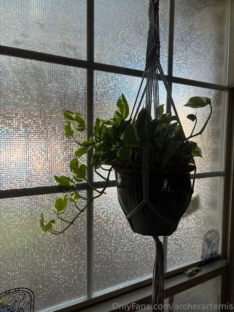 My depression has been kicking my ass and i haven t taken any photos part 4 