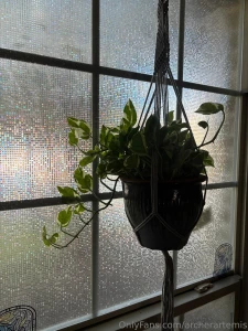 My depression has been kicking my ass and i haven t taken any photos part 4