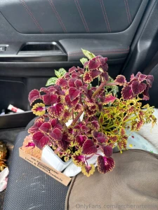 My depression has been kicking my ass and i haven t taken any photos part 2