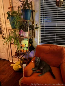 My depression has been kicking my ass and i haven t taken any photos