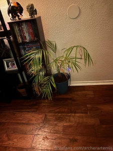 My depression has been kicking my ass and i haven t taken any photos part 5