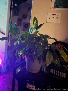 My depression has been kicking my ass and i haven t taken any photos part 1