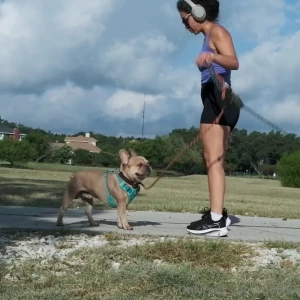 Who wants to go on a walk with us and get kisses