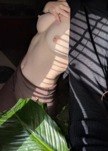 Photosynthesizing part 8