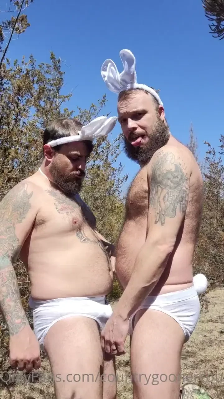 Cottontail gets plowed 