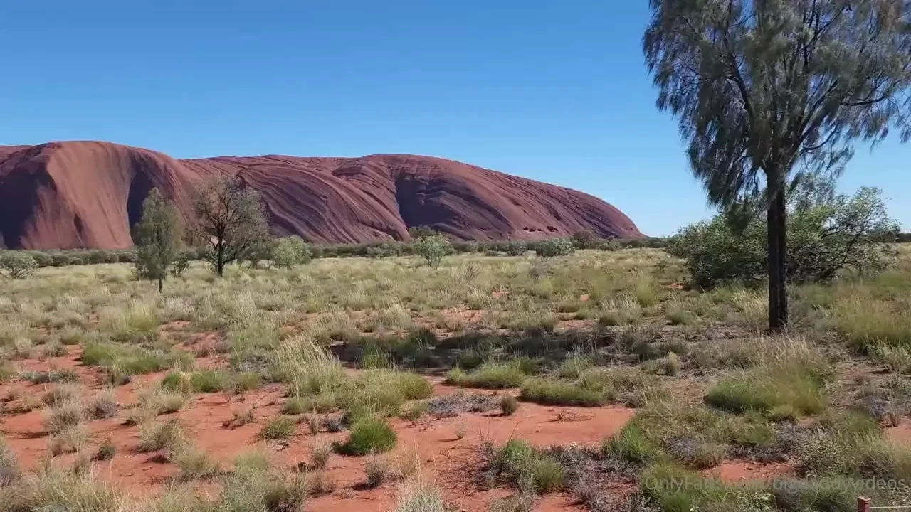 Big fella at uluru n t australia 