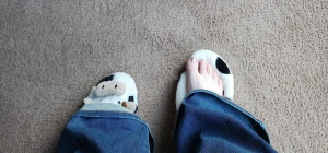 Who wants to buy my smelly cow slippers they are sp freaking cute and