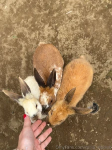 We do not deserve that nature it s too perfect for us too bueatiful part 1