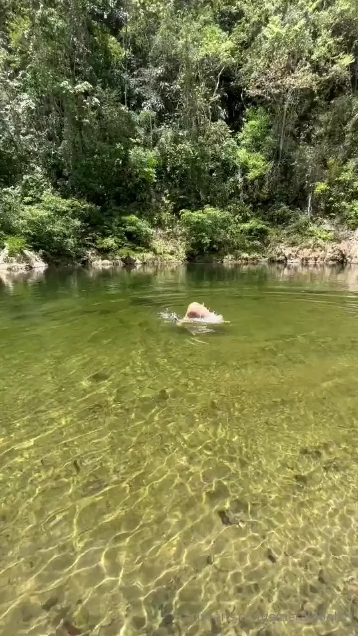 Let s take a dip part 30 