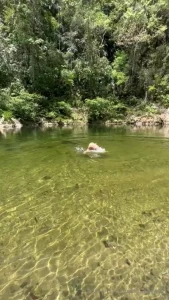 Let s take a dip part 30