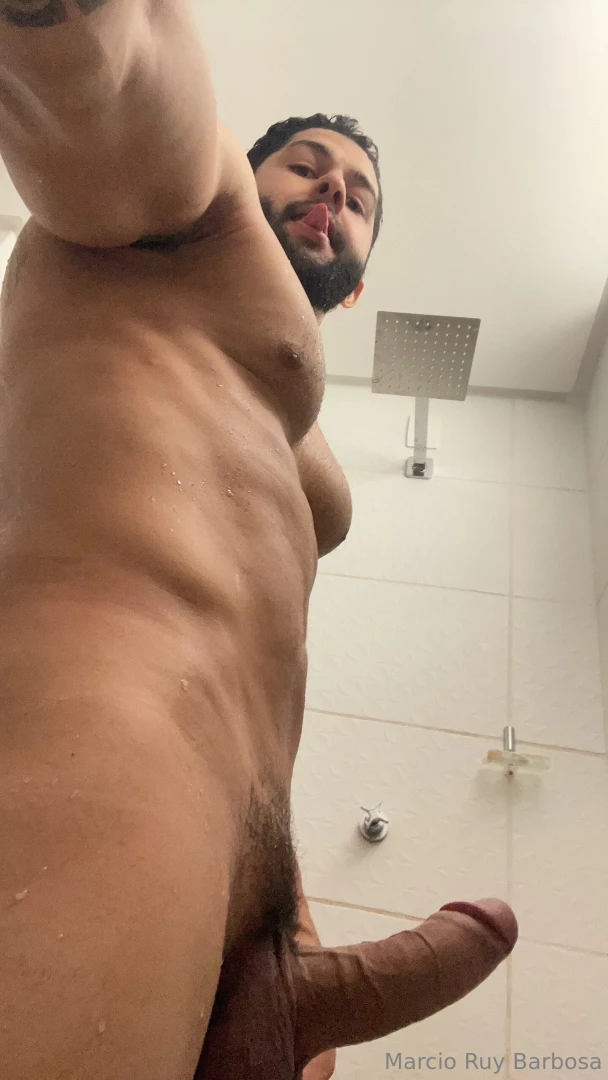 Pomba cheia de leitinho 