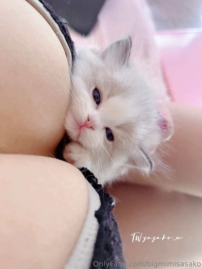 Bigmimisasako part 9 