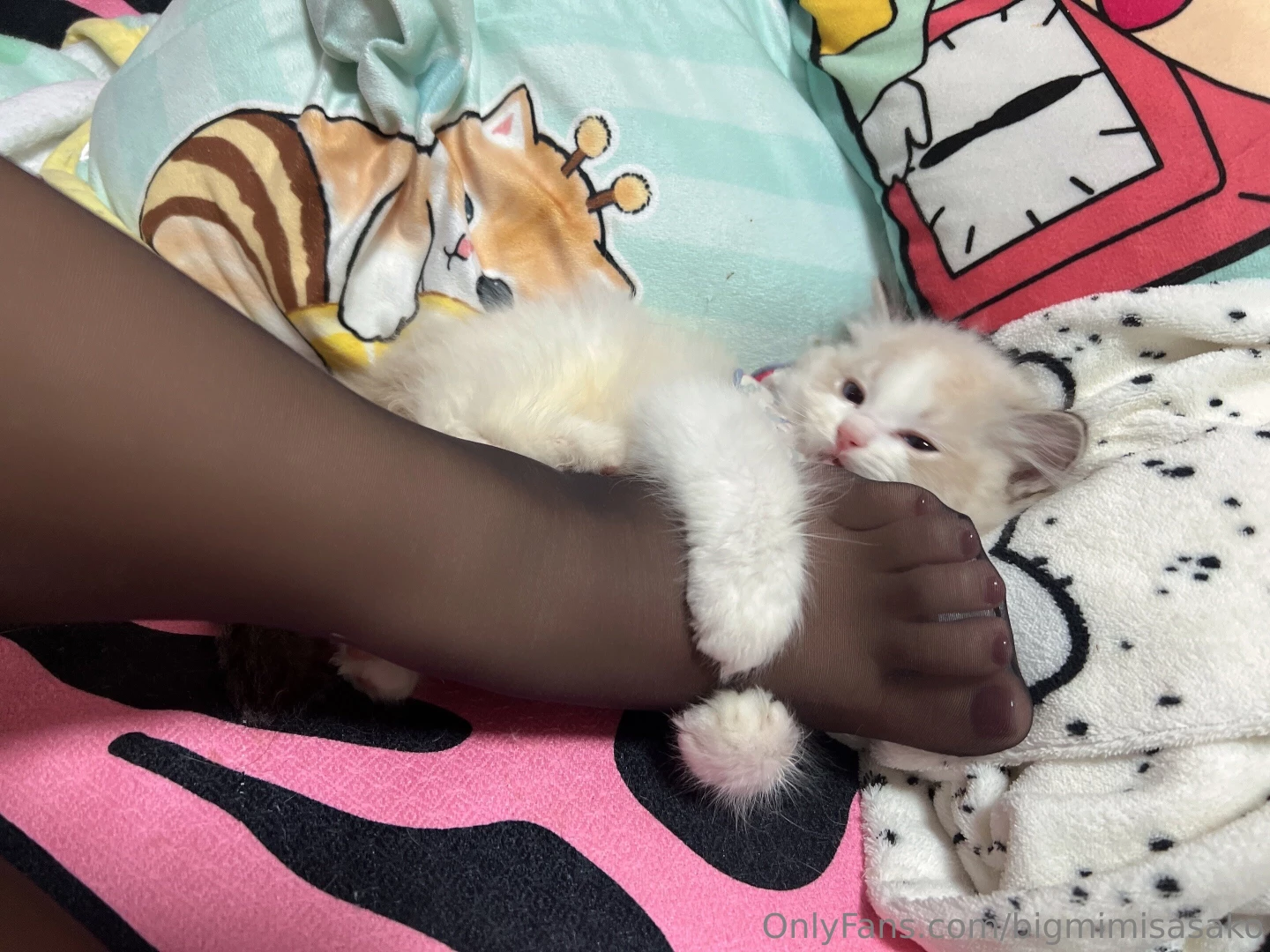 Bigmimisasako part 6 