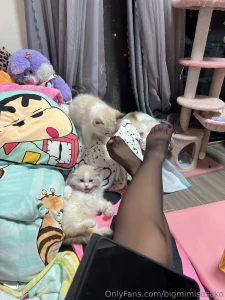 Bigmimisasako part 7