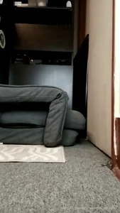 Stream started at 07 30 2022 10 27 am woke up super horny got to ride